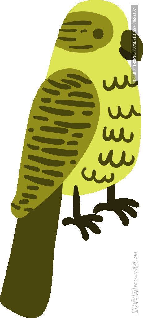 綠色鸚鵡插畫