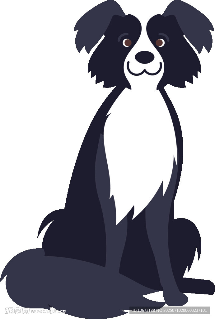 坐著的黑白邊牧犬