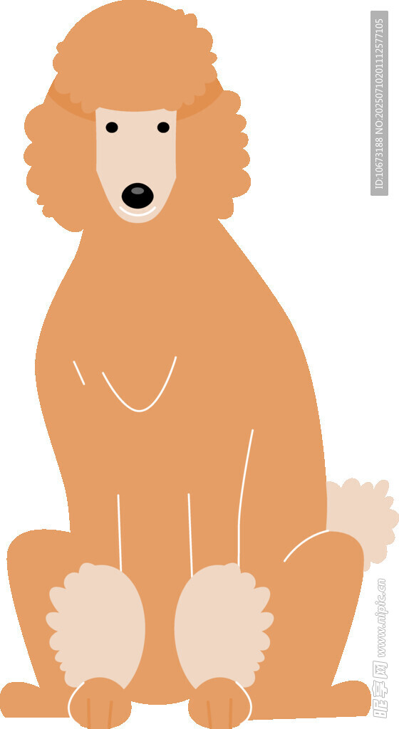 坐著的棕色貴賓犬