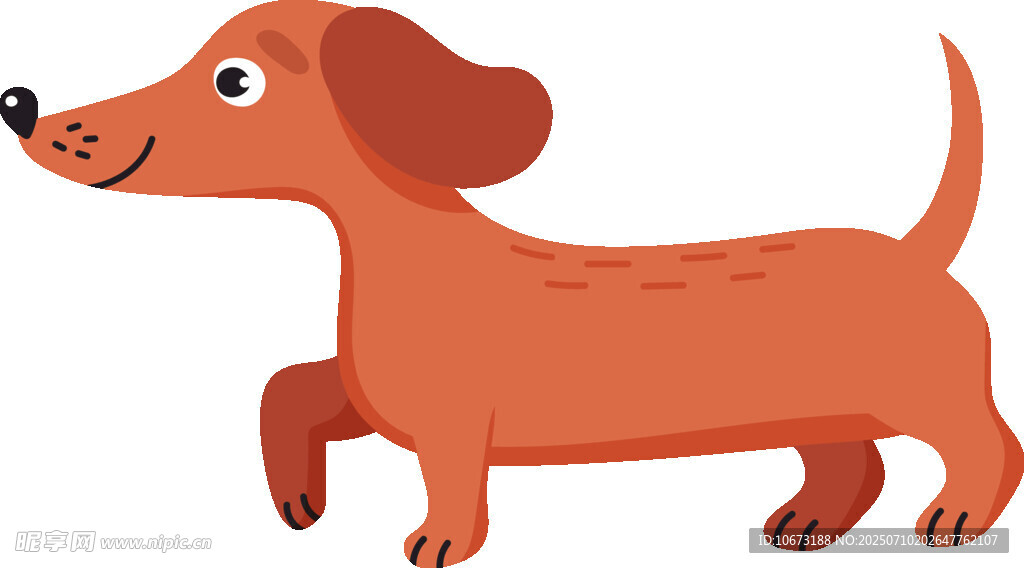 可愛臘腸犬歡快奔跑