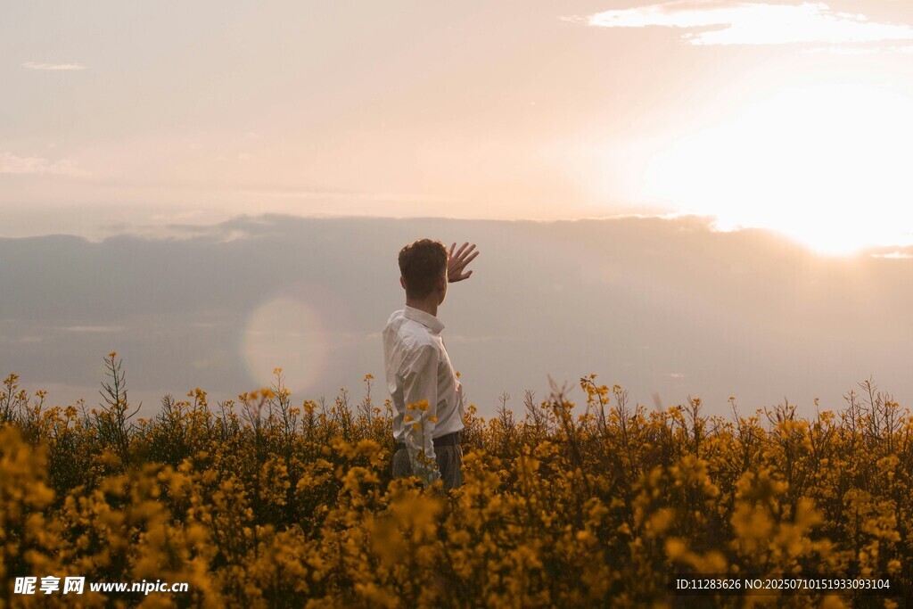 女孩于花海中迎向落日