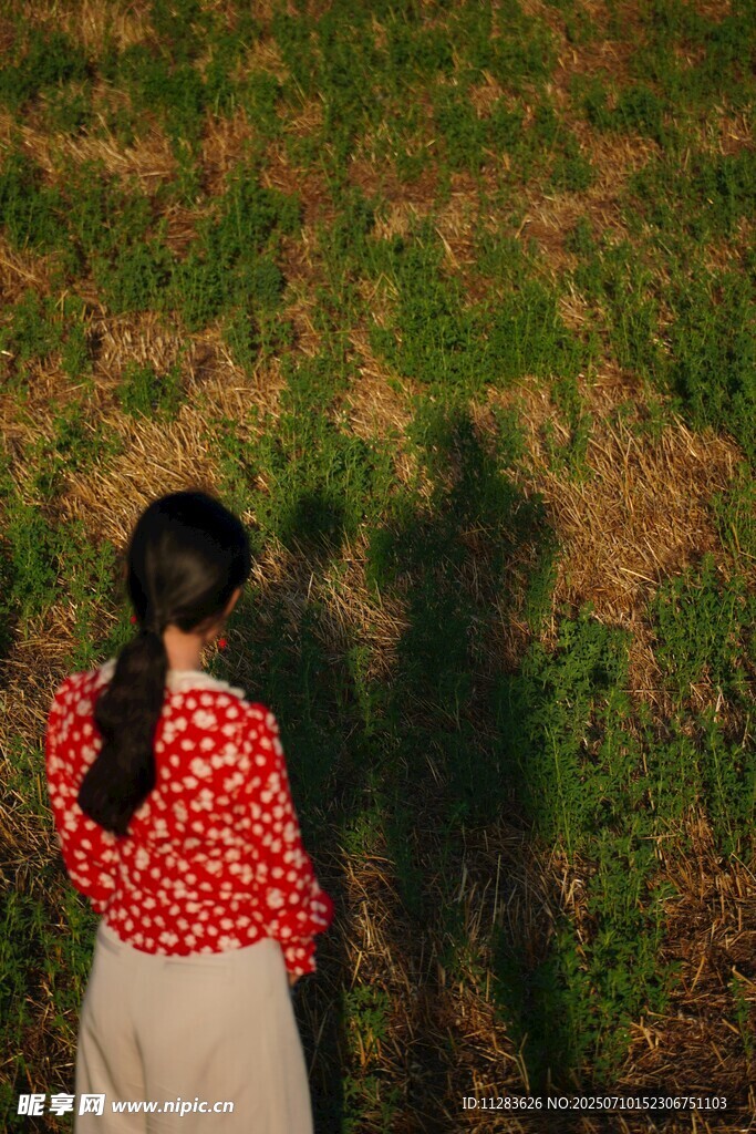 女孩逆光而立于草地