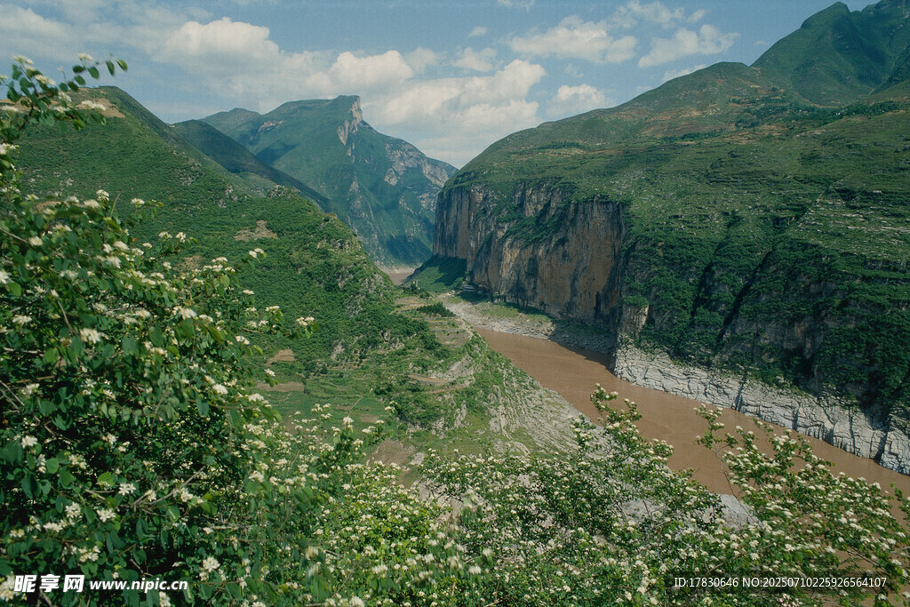 山間河谷綠意盎然風景