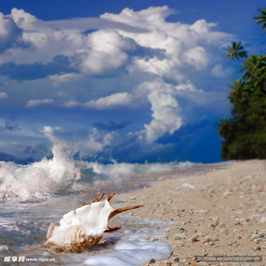 海灘上的椰子與海浪風(fēng)景
