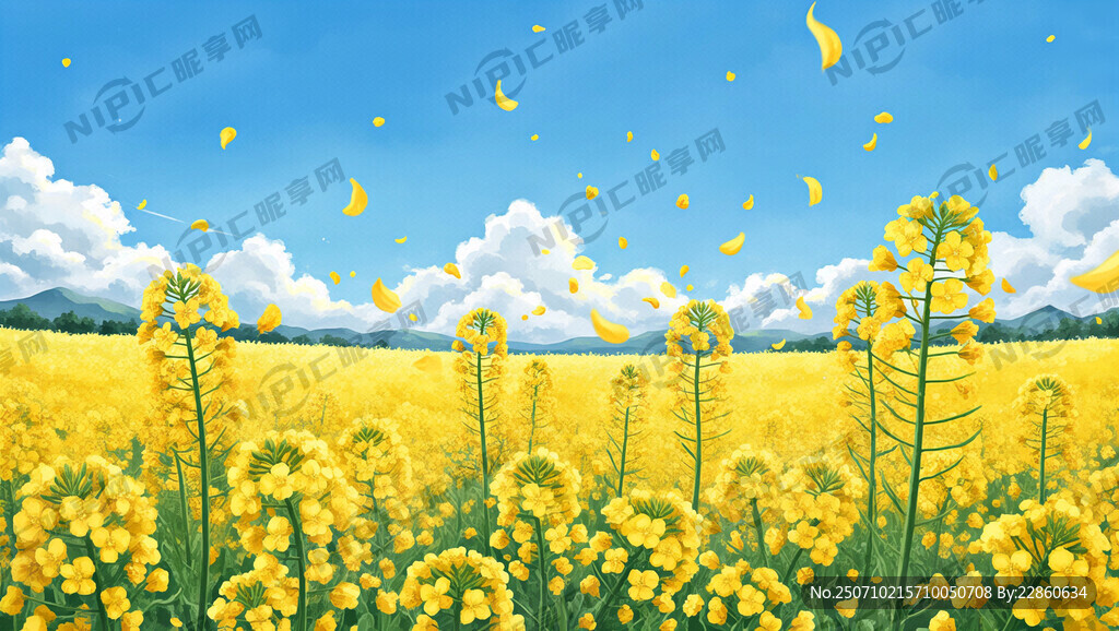 手繪 遍地油菜花 花田