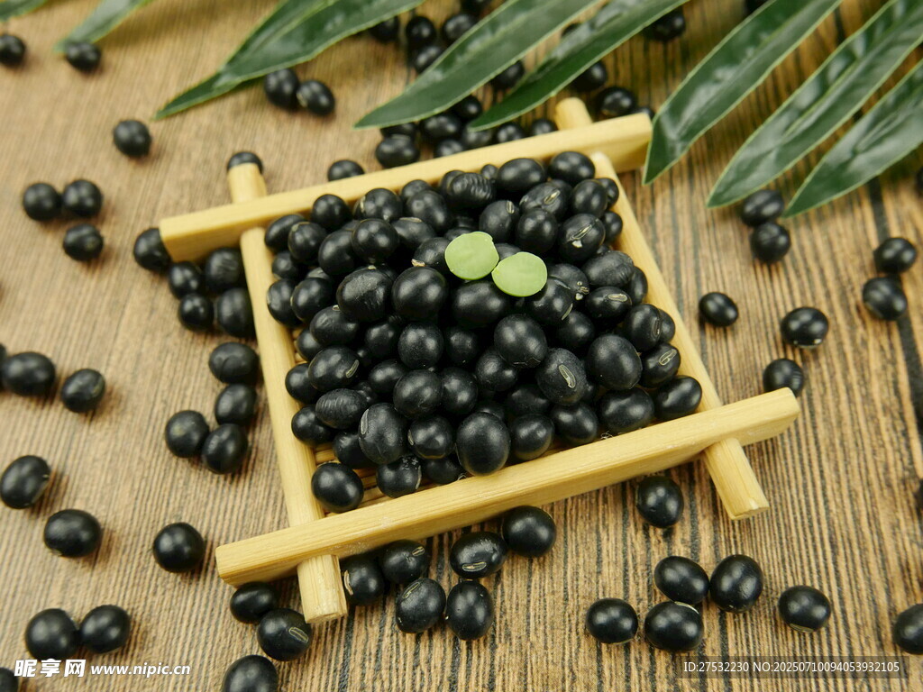 竹筐中的飽滿黑大豆