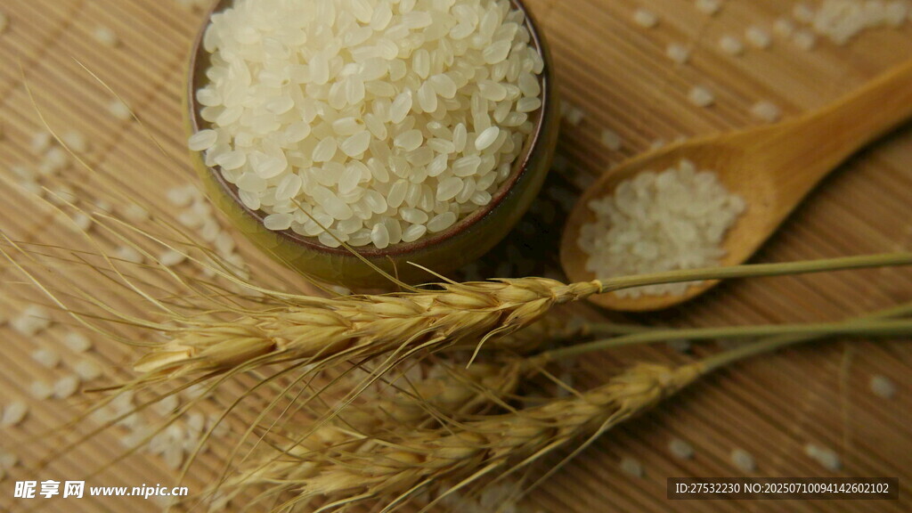 大米與麥穗的質(zhì)樸組合