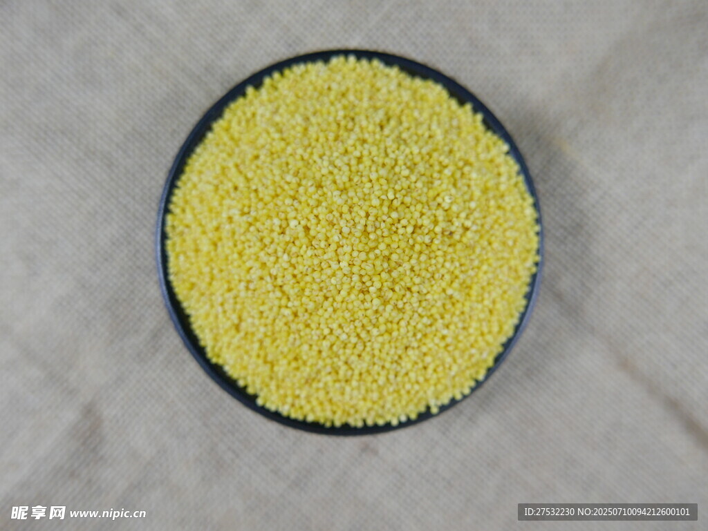 一碗金黃小米粒