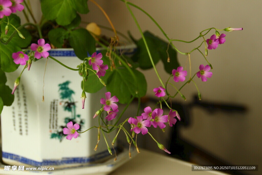 中式花瓶中的粉色小花