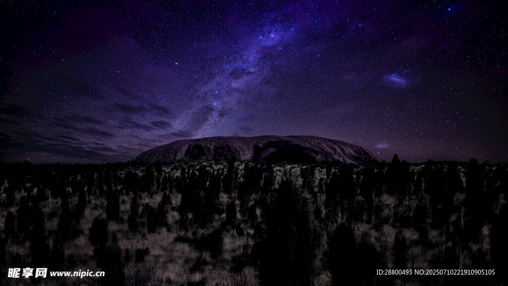夜空下的仙人掌景觀
