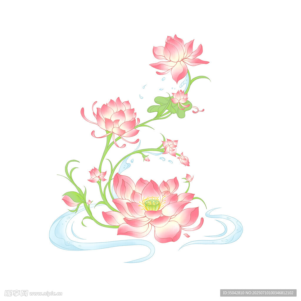 手繪粉色荷花插畫圖案