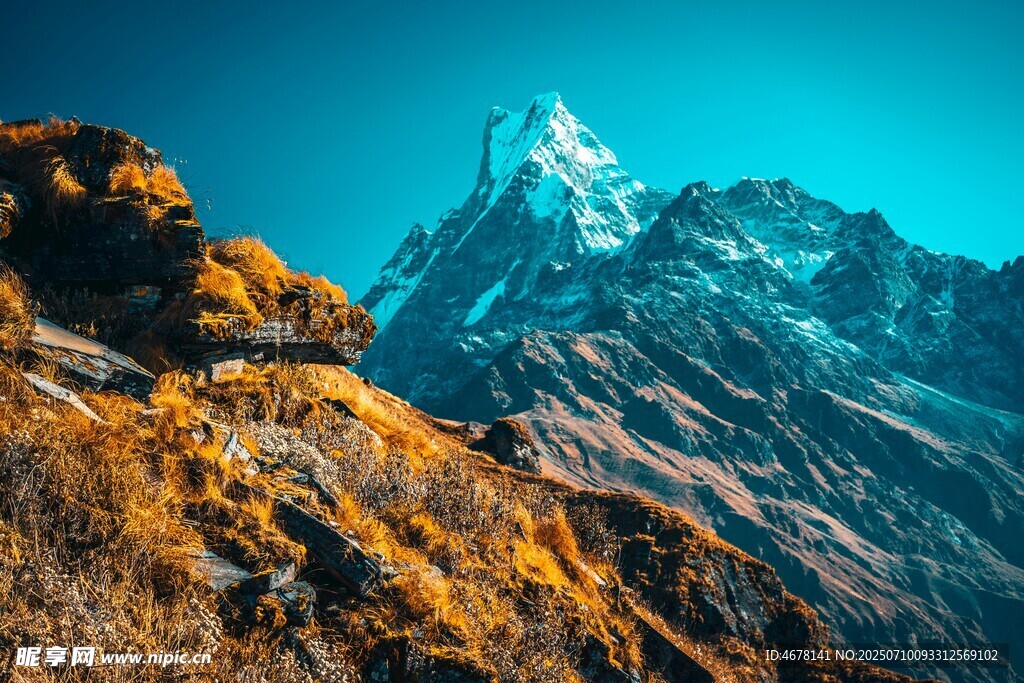 壯麗雪山與秋日植被景觀