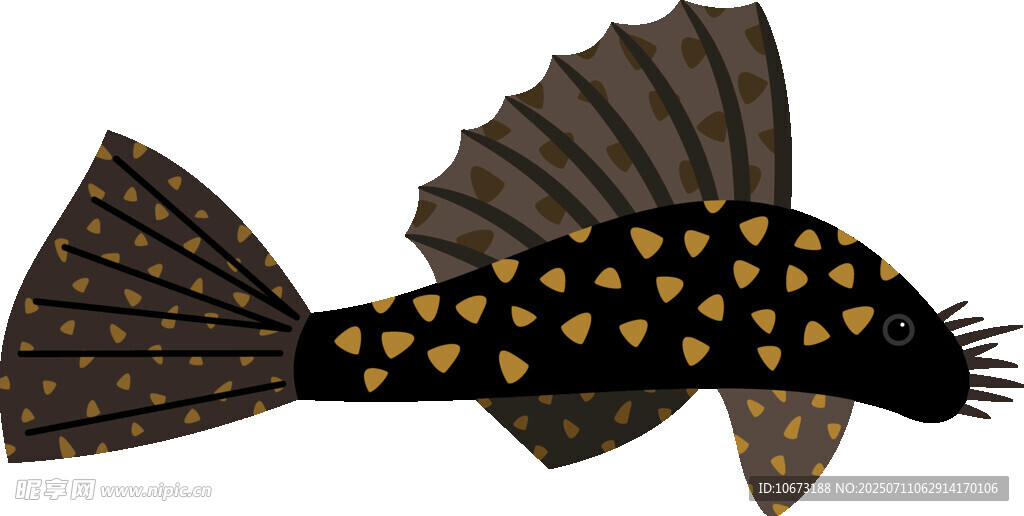黑色斑點魚插畫