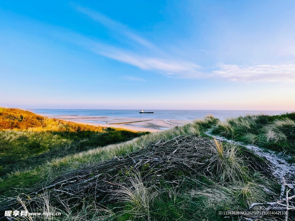 海邊草地的美麗風(fēng)光