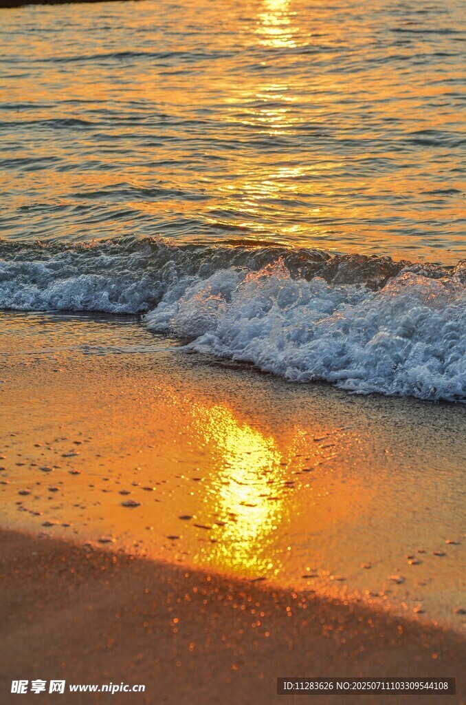 夕陽下的海浪與金色沙灘