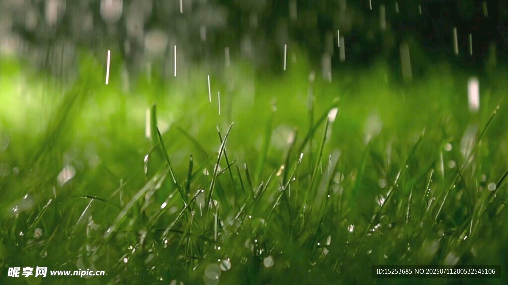 雨中嫩綠草地