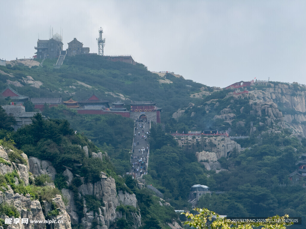 泰山