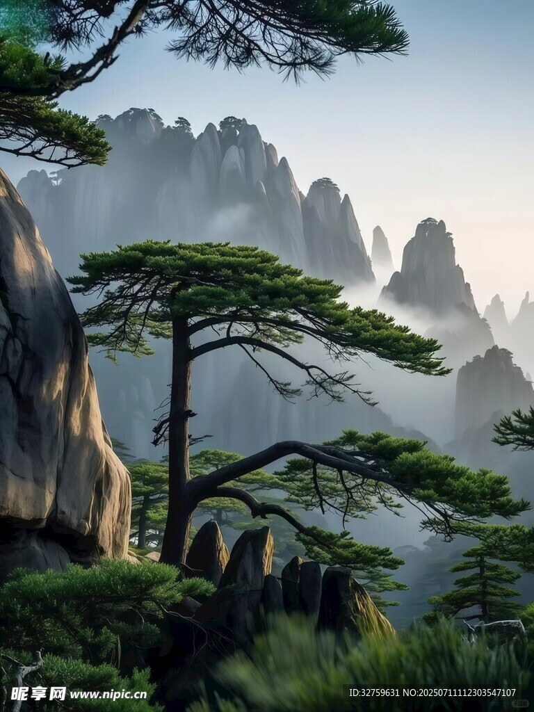 黃山奇峰勁松壯美景觀