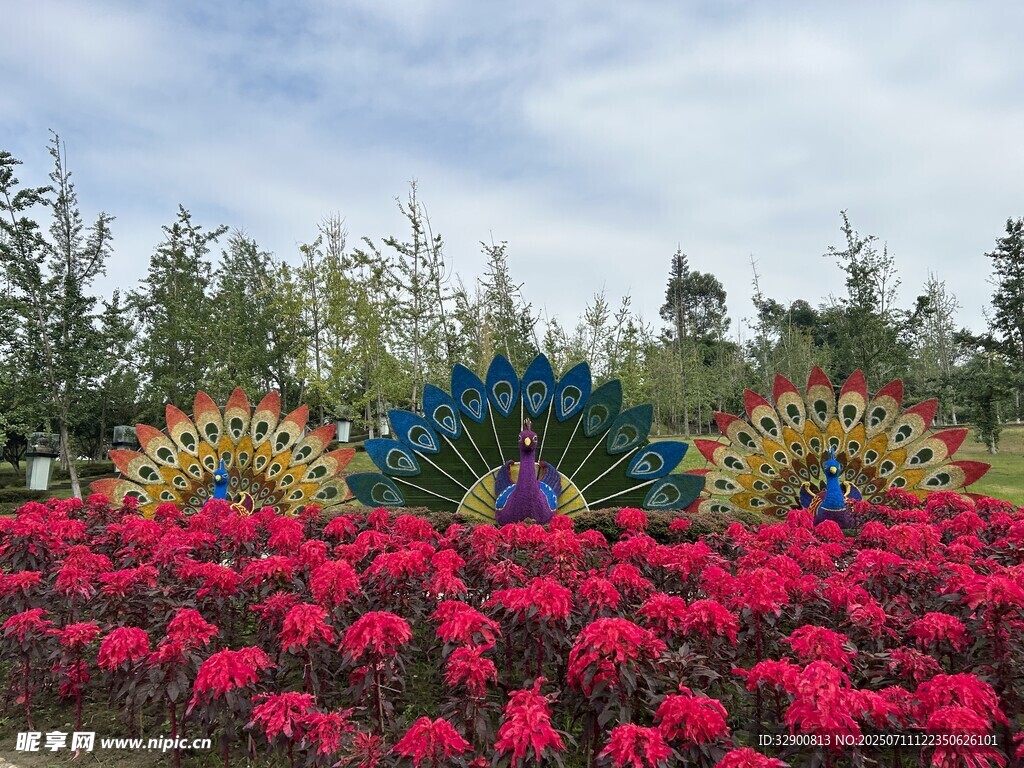 孔雀造型花卉景觀