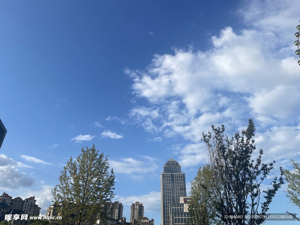 城市藍天綠樹風景