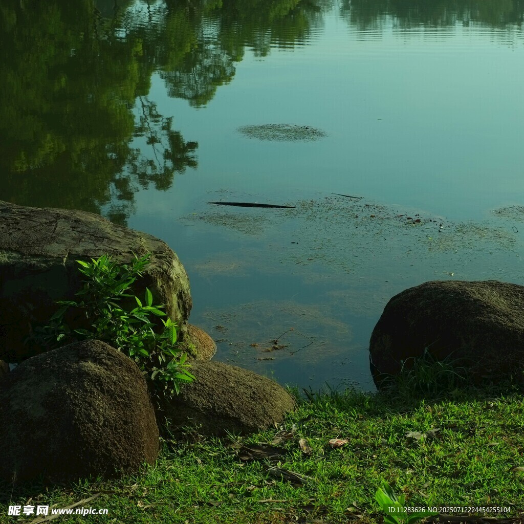 寧靜湖畔的自然景致
