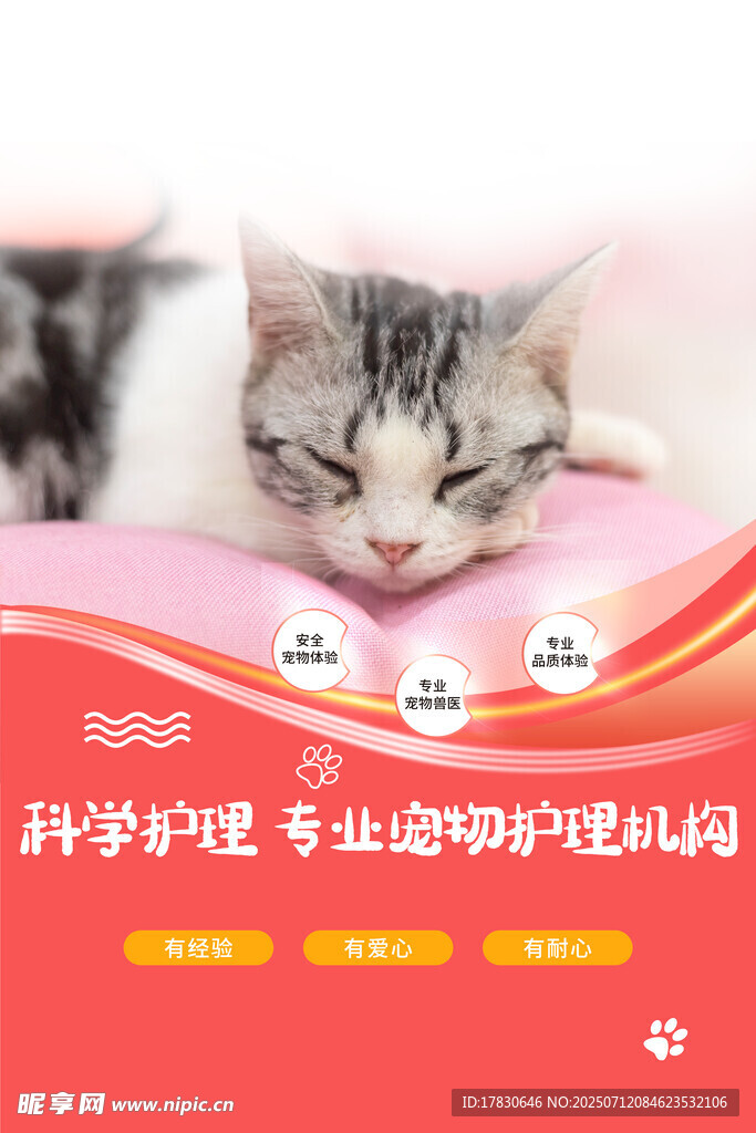 可愛貓咪愜意躺臥