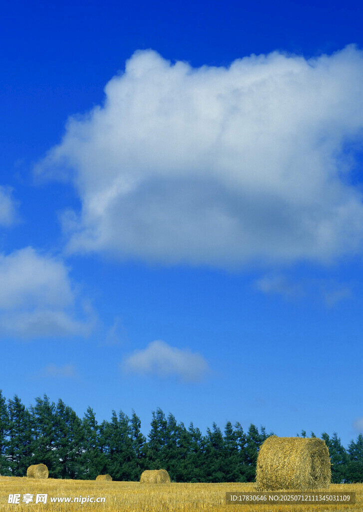 田野麥垛與藍天白云