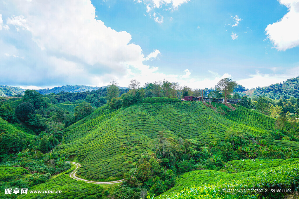 翠綠山間美景