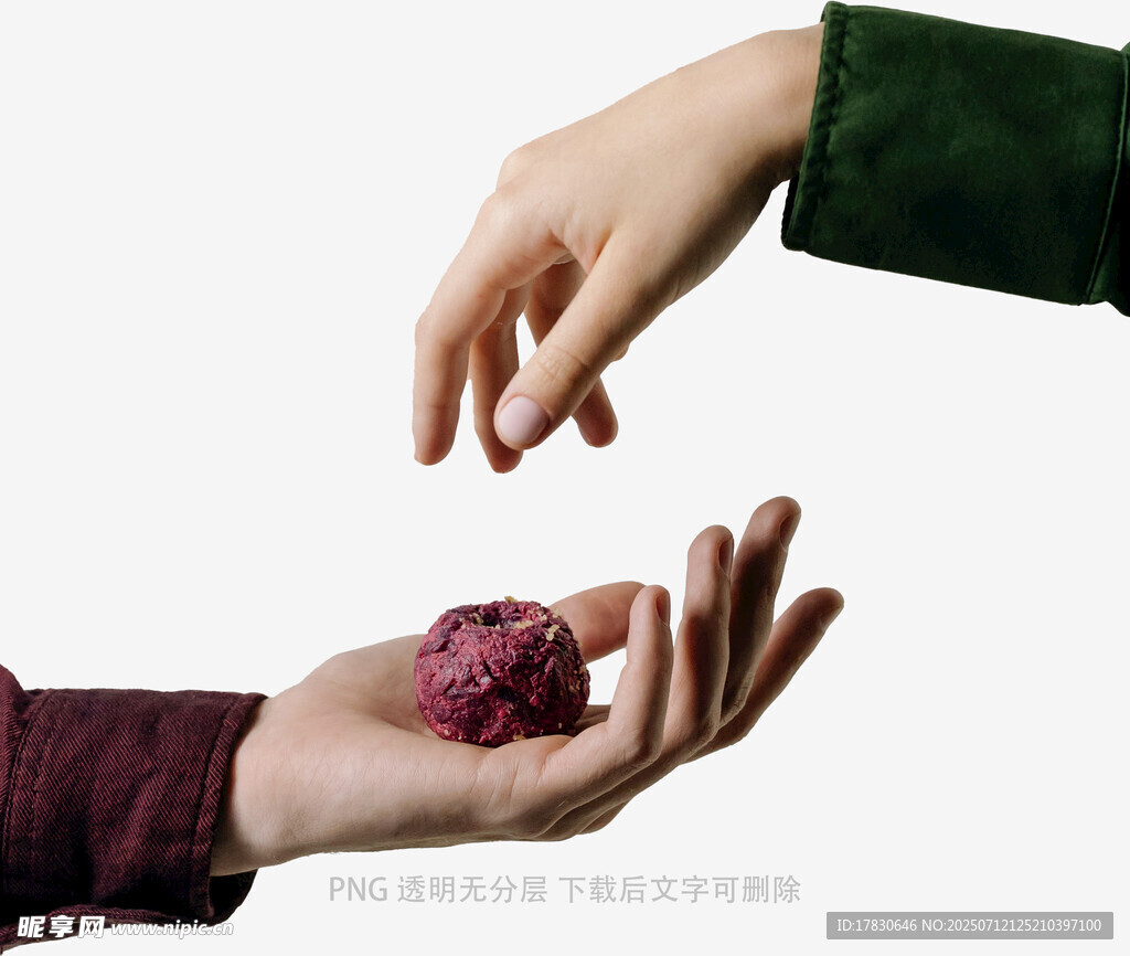 雙手傳遞嬌艷花朵