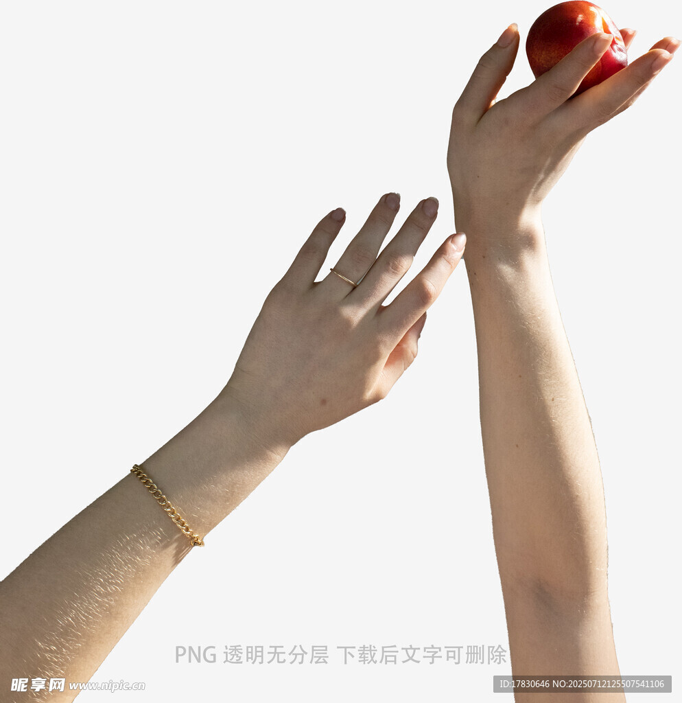 伸手觸碰紅果的手部特寫
