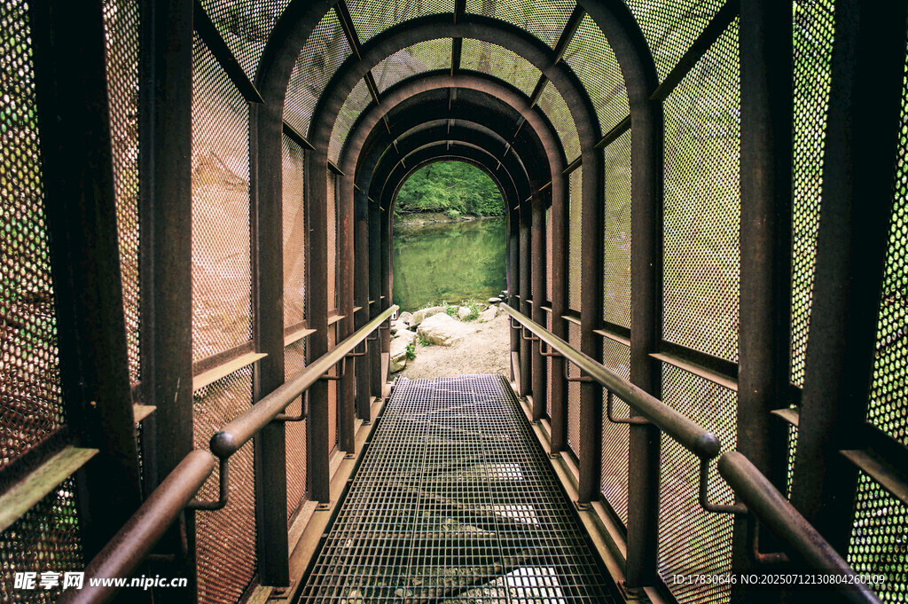 林間拱形棧道通向自然