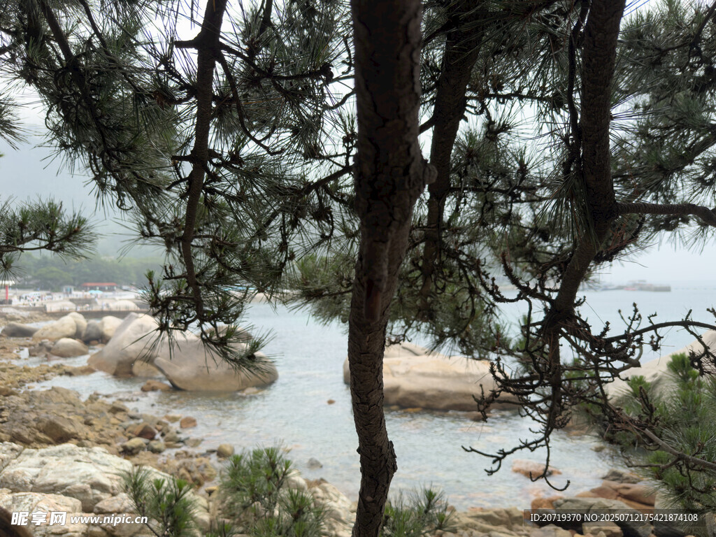 岸邊樹木與水域風(fēng)景