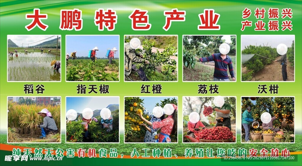 特色產(chǎn)業(yè)風(fēng)采展示