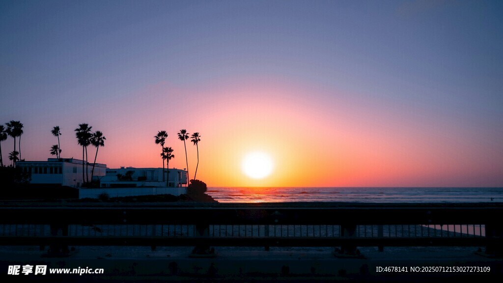 海邊日落時的棕櫚樹美景