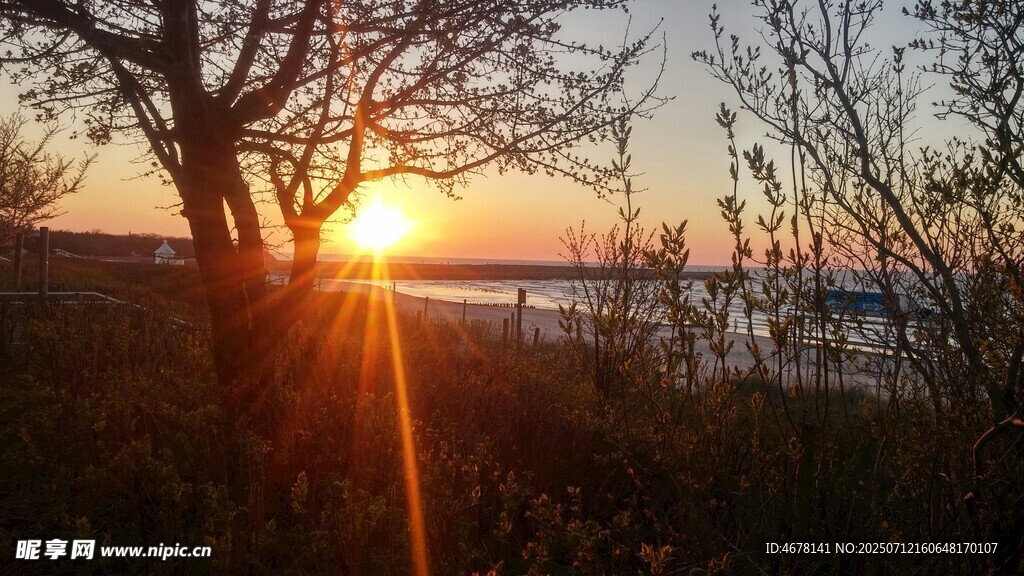 夕陽下的樹與波光湖面