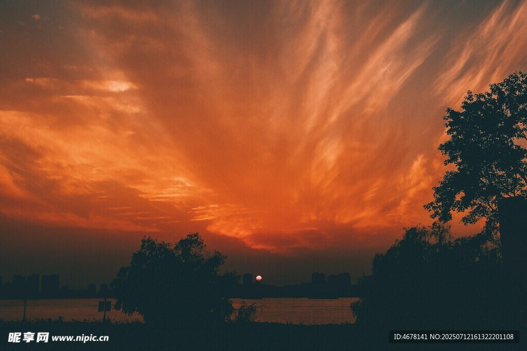 夕陽下的絢爛天空與樹影