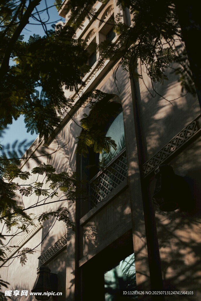 透過(guò)樹(shù)木看古老建筑