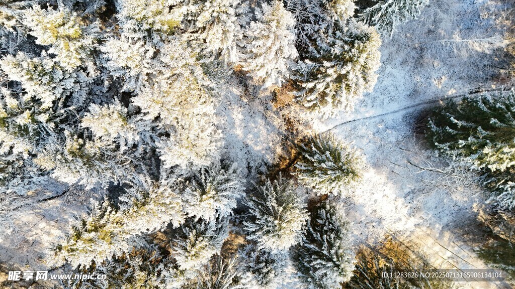 冬日雪景中的斑駁地面