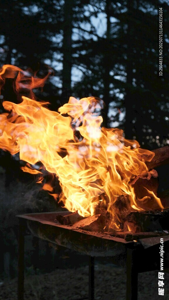 戶外熊熊燃燒的篝火