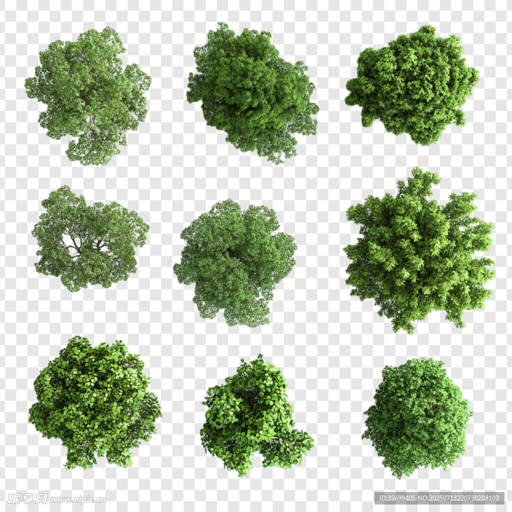 綠植素材
