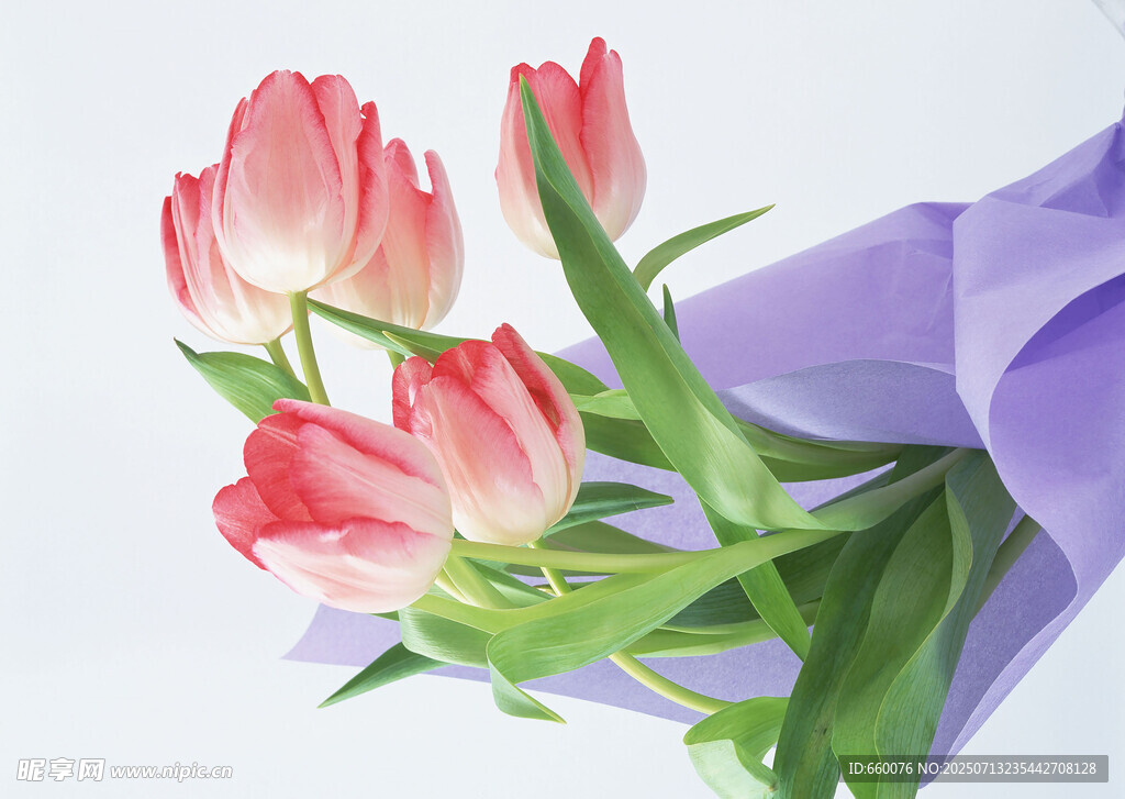 粉色郁金香花束
