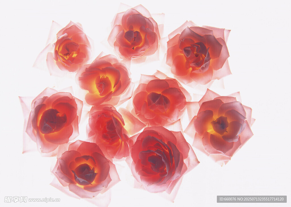 紅色透明花朵造型物件