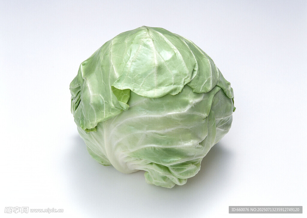 一顆新鮮的圓白菜