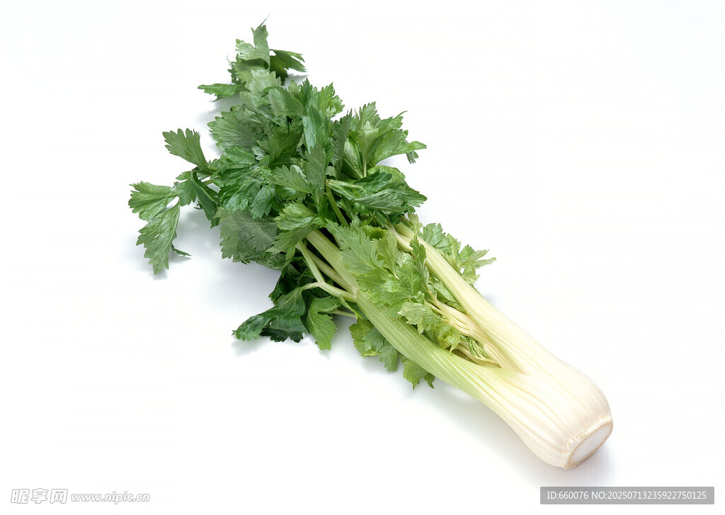 新鮮芹菜