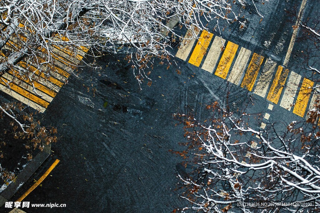 俯視視角下的道路與護欄