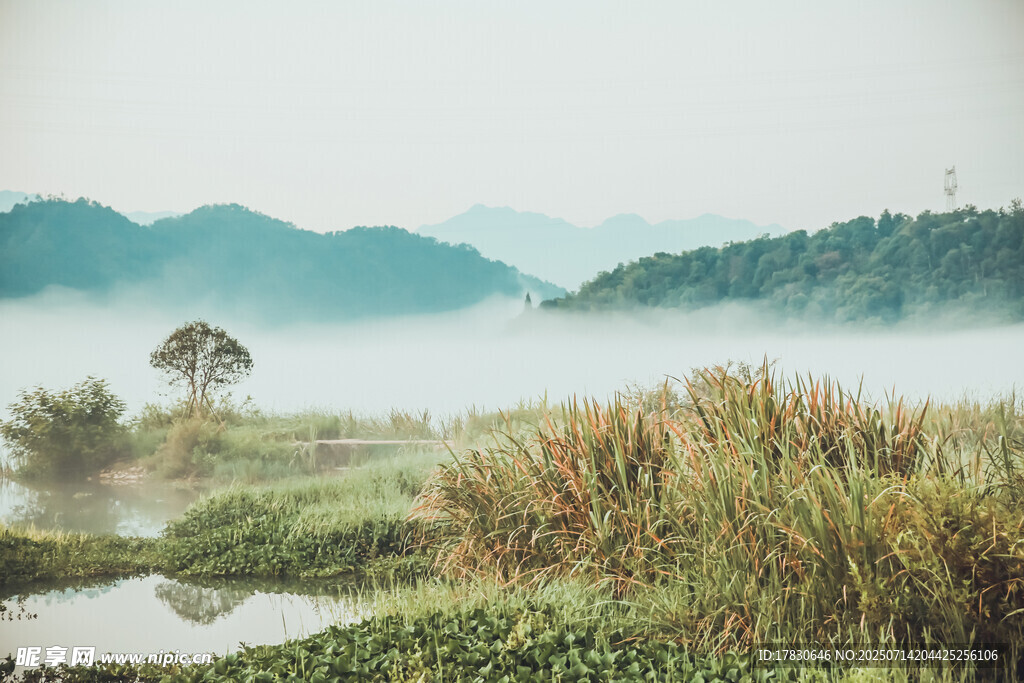 霧中田園美景