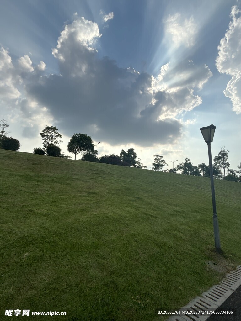 綠草如茵的戶外風(fēng)景