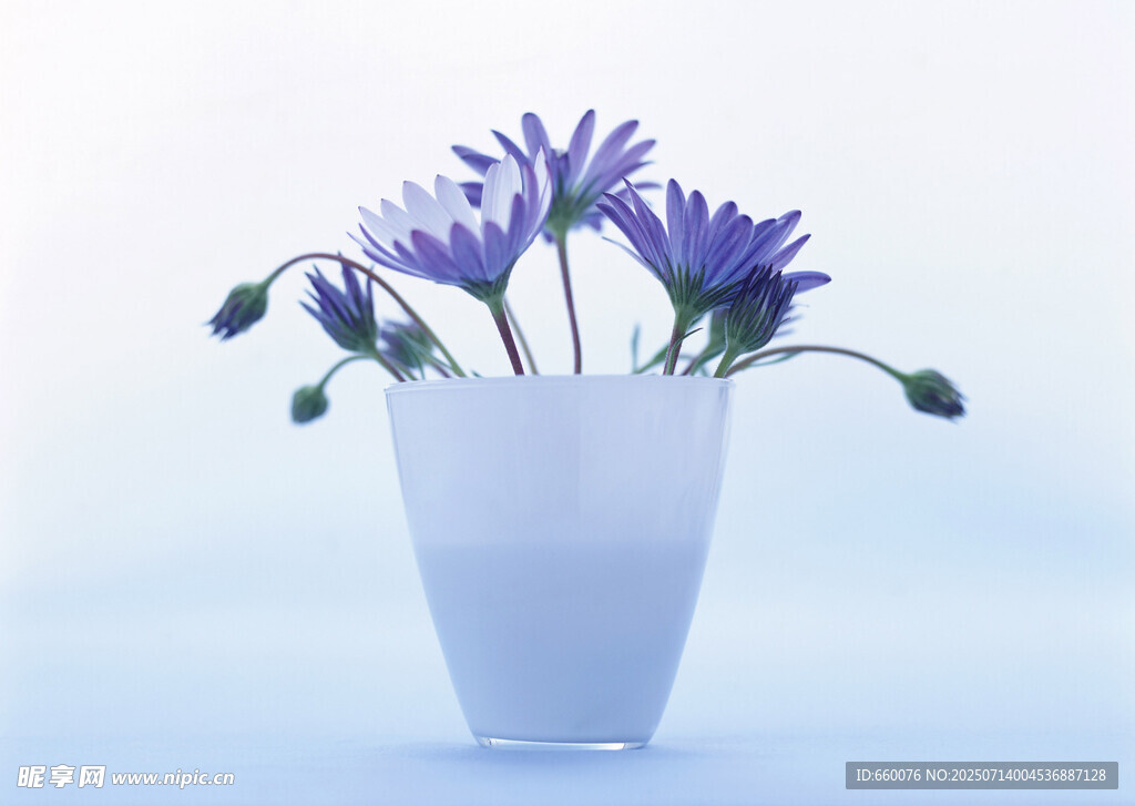 白色花瓶中的紫色小花