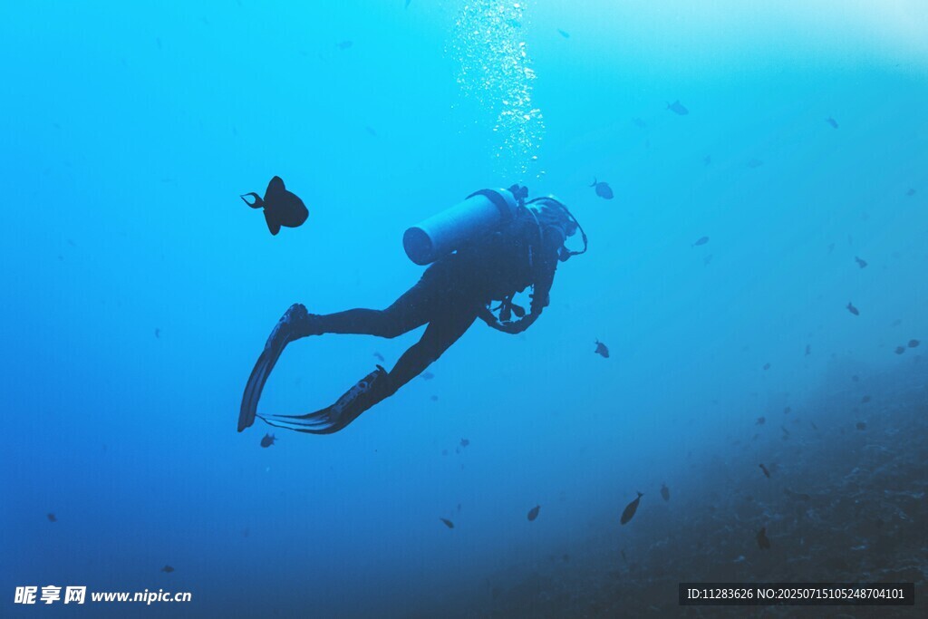深海潛水員與小魚共游