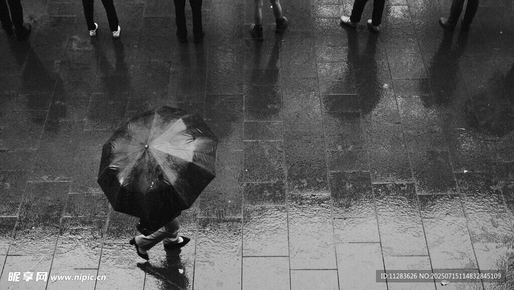 雨中獨行者撐傘漫步街頭